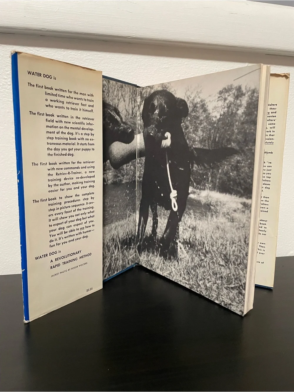Water Dog Richard A Wolters Book Hardcover Rapid Training Method Vintage 1973